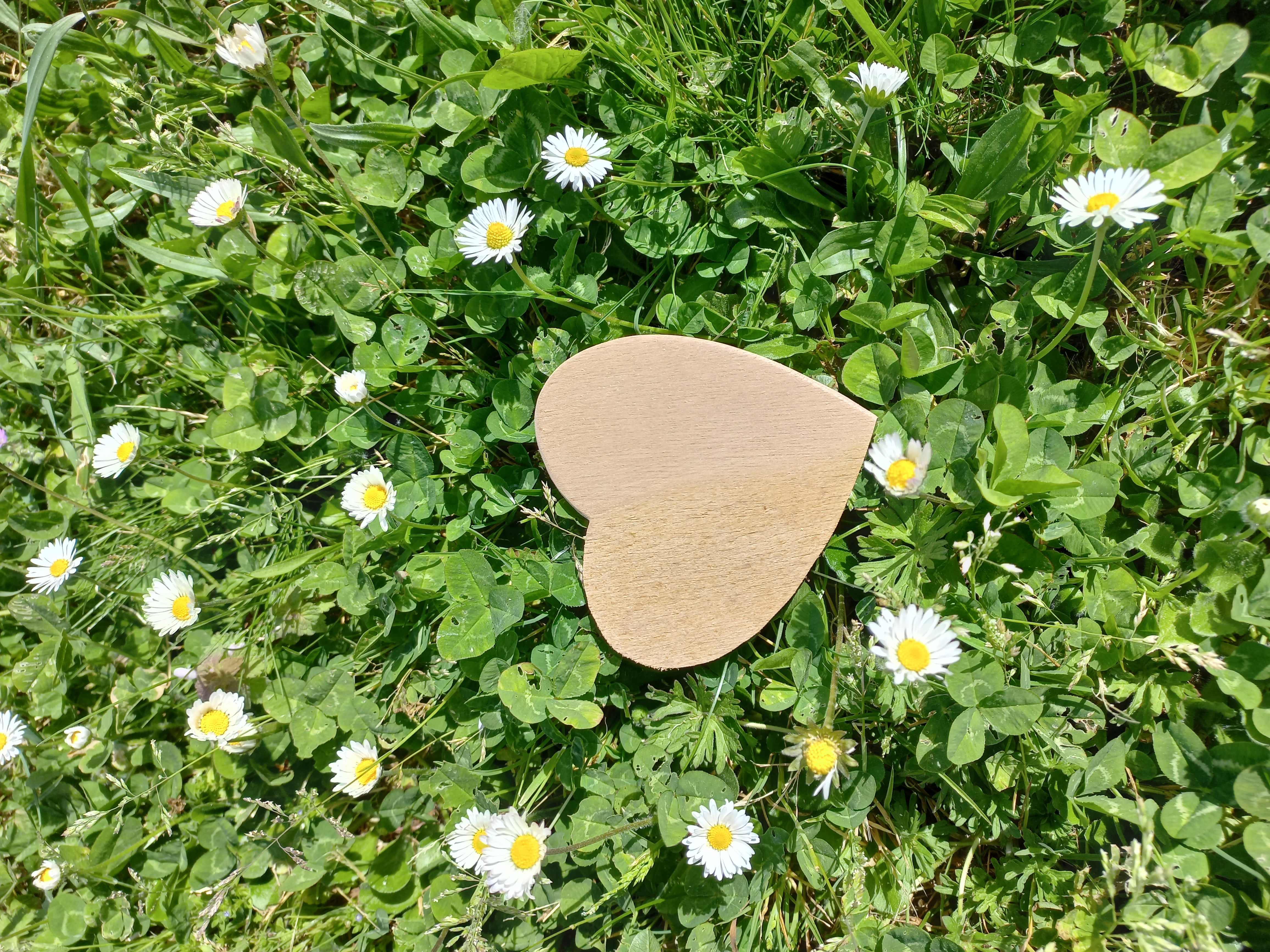 Dessous de plat en bois